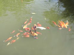 -莲生母婴月子中心(清水河公园店)