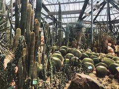 -华南国家植物园-售票处