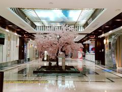-添赐温泉馆(上南路店)
