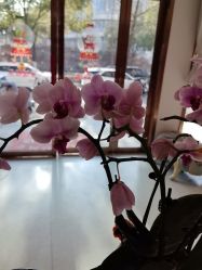 点击看大图 -Dr.林醫生产后修复·配方产康店(南京大厂店)