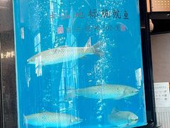 -谭厨中山传家菜.乳鸽.脆鲩鱼(华强北中航城店)