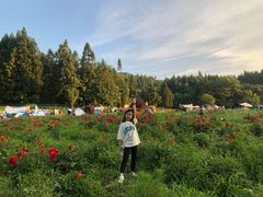 -武陵山森林公园