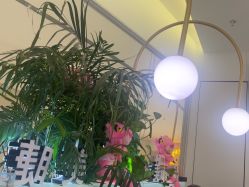 -MB·nail美甲美睫