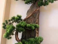 -茶小点(丽悦新天店)