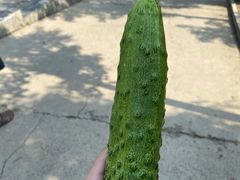 -遵化市禅林寺古银杏风景园