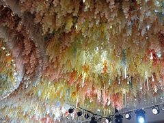 -东方之珠海鲜酒楼(南开店)