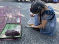 -梅陇花鸟市场-停车场