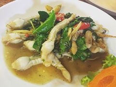 竹蛏王-拉威海鲜市场
