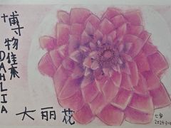 -甲乙果 美术书法(通州校区)