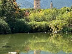 -崇圣寺三塔文化旅游区