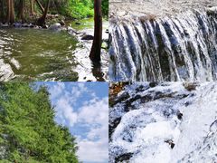 -马峦山郊野公园