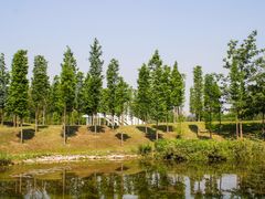 -眉山湿地公园(东坡区)
