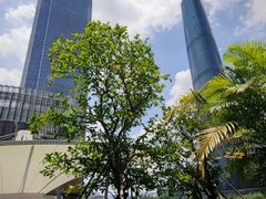 -港丽餐厅(高德置地店)