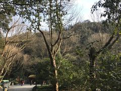 -北高峰