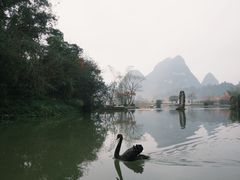 -靖西鹅泉风景区