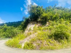 -海南热带雨林国家公园吊罗山景区