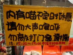 -猫咪博物馆(顶澳仔猫街店)
