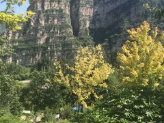 -十渡高山漂流