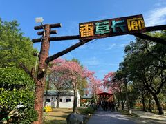 -广东花都香草世界旅游度假区