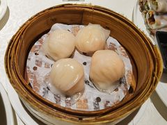维园虾饺皇-维园悦谱·海派家常菜(乌鲁木齐南路店)