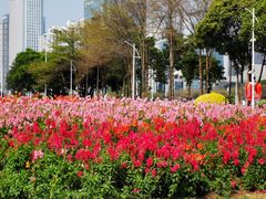 -海心沙亚运公园