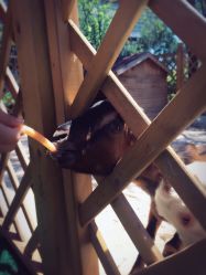 -萌宠亲子动物乐园(槐房万达店)