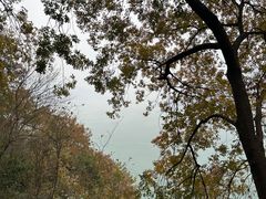 -白帝城·瞿塘峡景区