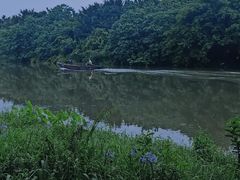 -海珠湖公园