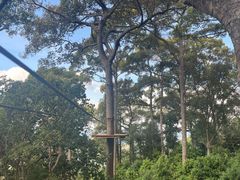 -清迈丛林飞跃 JungleFlight