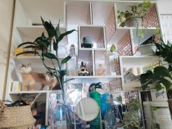 -美甲日记美睫专业纹绣半永久