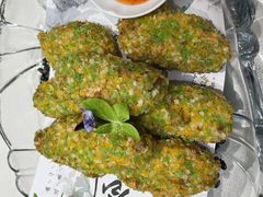 -丁老爷子苏香圆