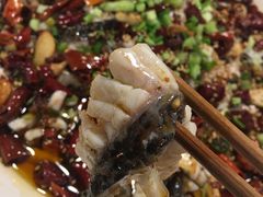 -三猫黑鱼花(南大店)