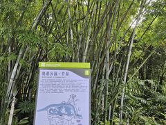 -晓港公园
