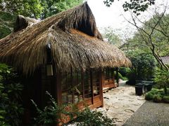 -中国茶叶博物馆(双峰馆区)