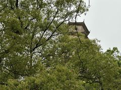 -江心屿景区