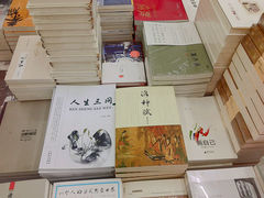 长篇历史小说《洛神赋》-智源书店(富春街店)