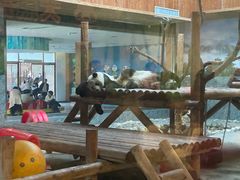 -西安秦岭野生动物园