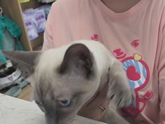 -瑞派宠物医院·24h·骨外科·皮肤科·全科宠物医疗转诊中心(沈阳浑南院)