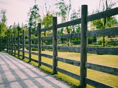 -前小桔亲子创意农场·草莓采摘·露营烧烤