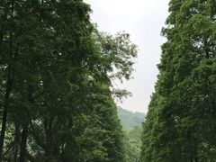 -青城山