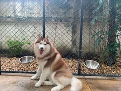 -TrueLove @ Neverland (Husky Cafe)