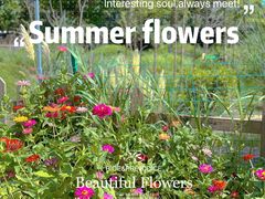 -前小桔亲子创意农场·草莓采摘·露营烧烤