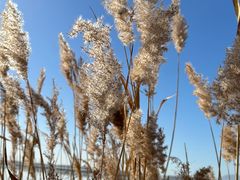 -野鸭湖国家湿地公园