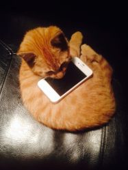 -汉刺青TATTOO STUDIO