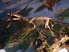 -自贡恐龙博物馆