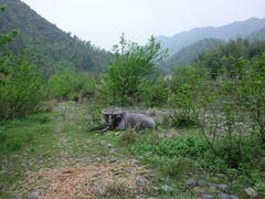 -淇河国家湿地公园