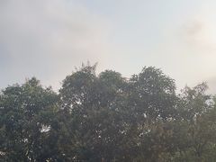 -大雁山风景区