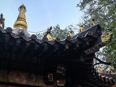 -高尔山公园