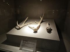 -南越王博物院(王宫展区)