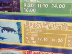 android_upload_pic-郑州海洋馆